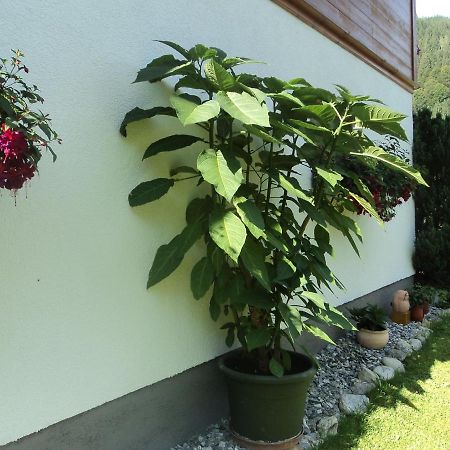 Gondelblick Apartment Wagrain Exterior foto