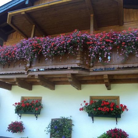 Gondelblick Apartment Wagrain Exterior foto
